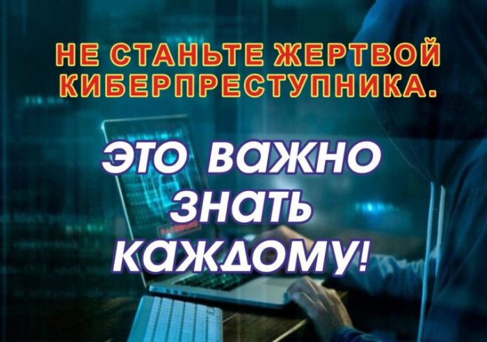 Информация МВД по противодействию киберпреступности